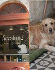 Accalmie Café à Bordeaux coffee shop rue Notre Dame Chartrons